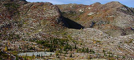 Looking back at the trailhead for the Ghost Lake trail of the Mt St Helens National Volcanic Area