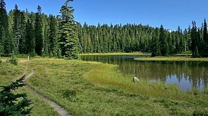 Junction Lake in Indian Heaven