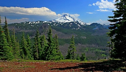 View of Mt Jefferson from Ruddy Hill