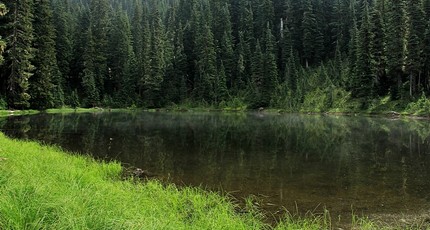 Wood Lake Trail